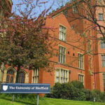 University of Sheffield 영국석사 합격후기 #심리학