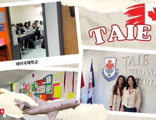 TAIE International Institute